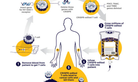 Avances en la lucha contra el cáncer: Nueva terapia promete mejorar la supervivencia.