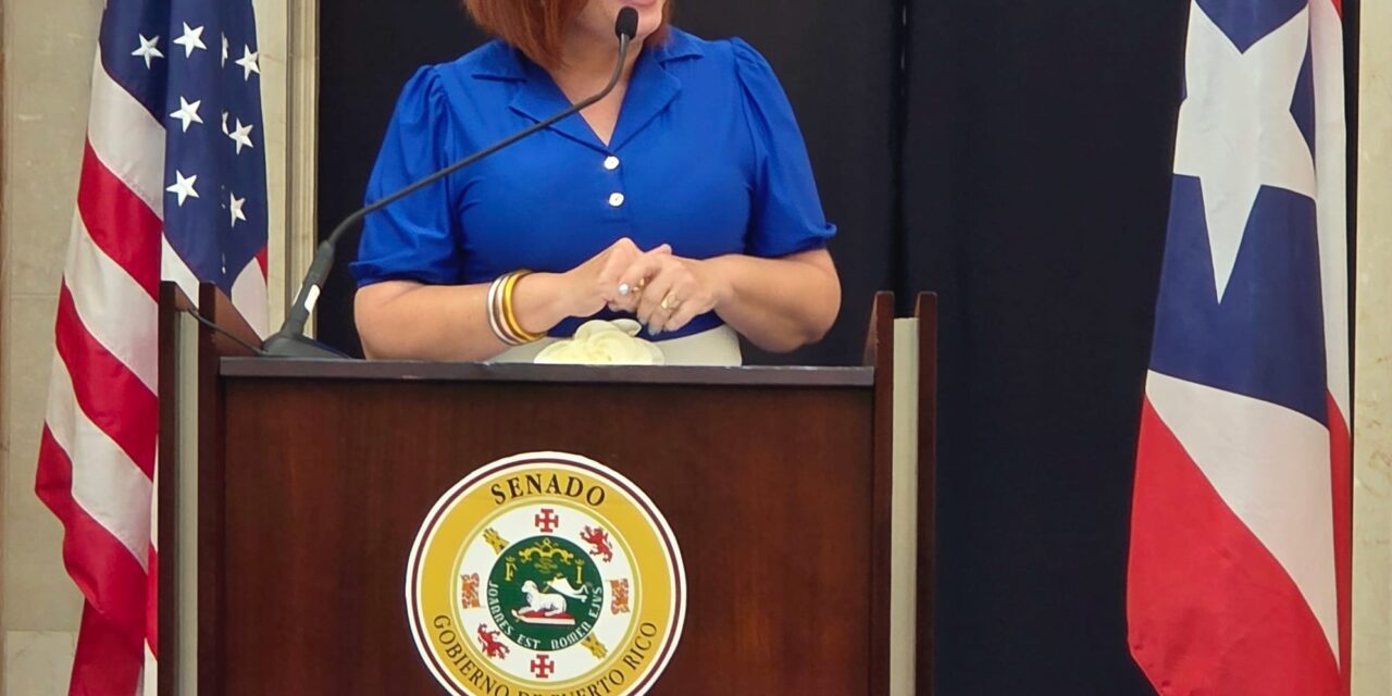 Senado investigará condiciones peligrosas en la Carretera PR-137 en Vega Baja y Morovis