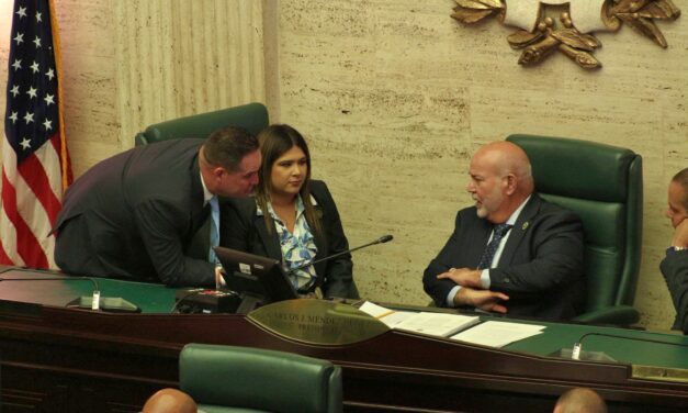 Cámara de Representantes aprueba medida para detener multas y prohibición de plásticos de un solo uso